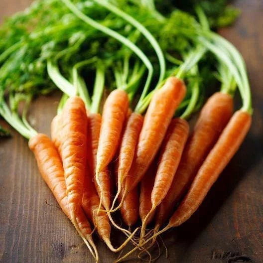 Imperator 58 Carrot Seeds - Heirloom Non-GMO Daucus carota for Home Gardening, Fresh Eating, Salad & Soup