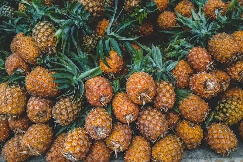 15+ Brecheche Pineapple Seeds for Garden Planting, Ananas comosus, Tropical Fruit Seeds, Non-GMO, Easy to Grow