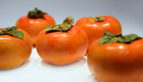 Live Fuyu Persimmon Tree Sapling – 6" to 1ft, Diospyros Kaki, Sweet Asian Fruit Tree, Hardy Seedling for Home Garden