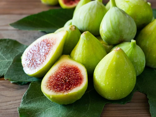 Green Ischia Fig Tree Cuttings – 2 Unrooted Ficus Carica Clippings with Willow Water Accessory for Gardening