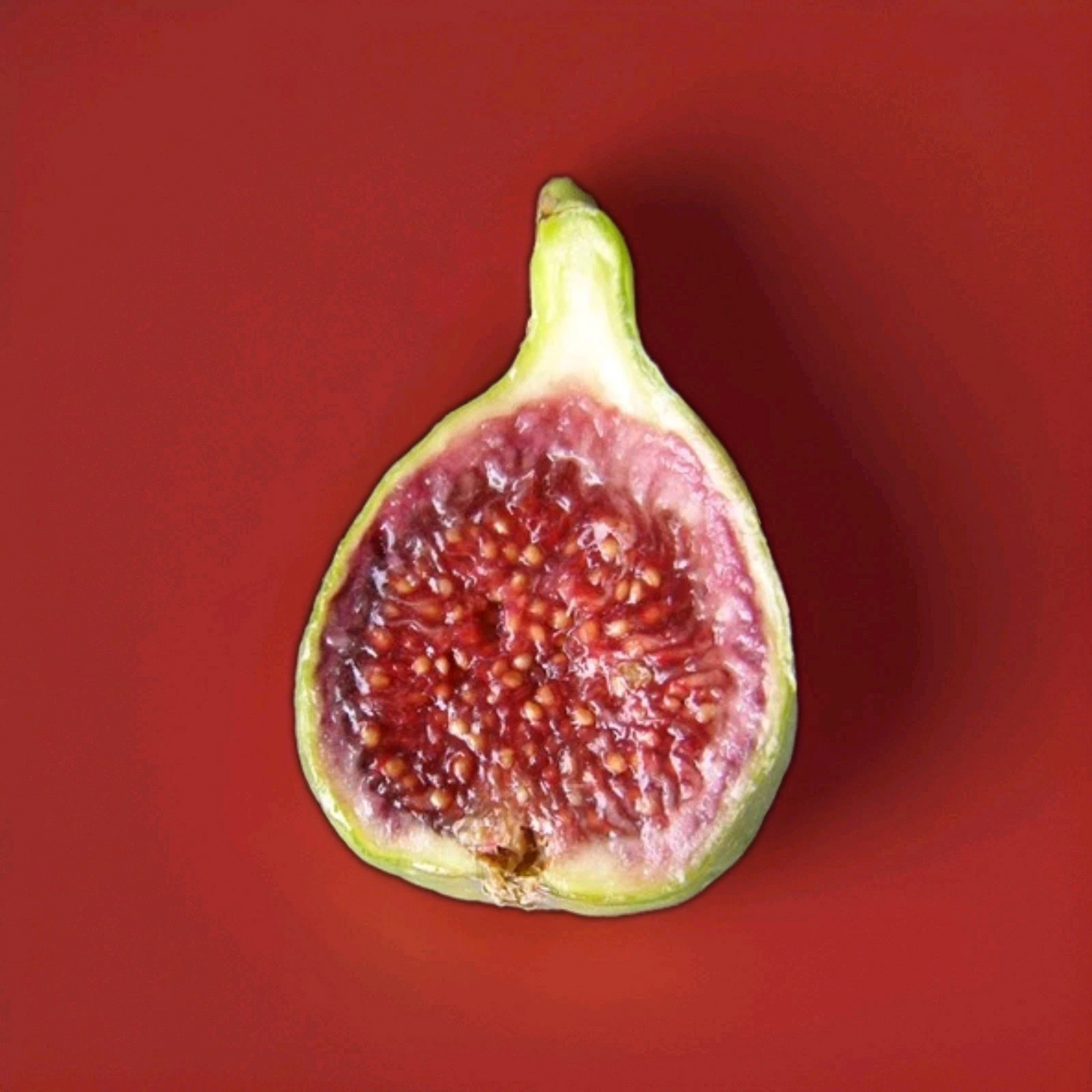 Strawberry Verte Fig Cutting – 6-8 Inch Unrooted Ficus carica ‘Strawberry Verte’ for Propagation, Grafting, Garden or Container Planting