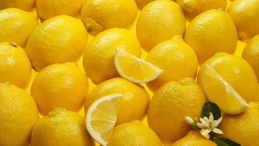 Meyer Lemon Scion Cuttings – 4 Pack, 4-6 Inches, Citrus Meyeri for Rooting & Grafting, Fresh Lemon Tree Propagation